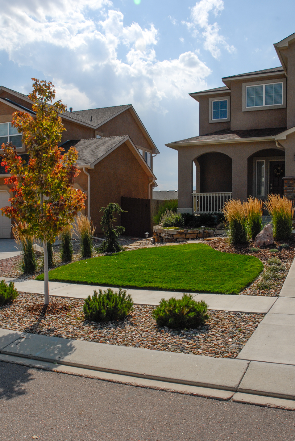 Easy Maintenance Front Yard
